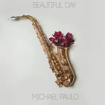 Michael Paulo: cover art